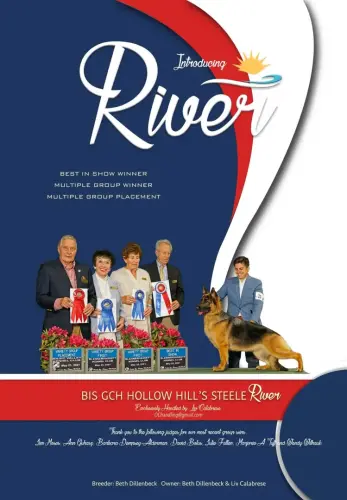 BRAGS - River Ad