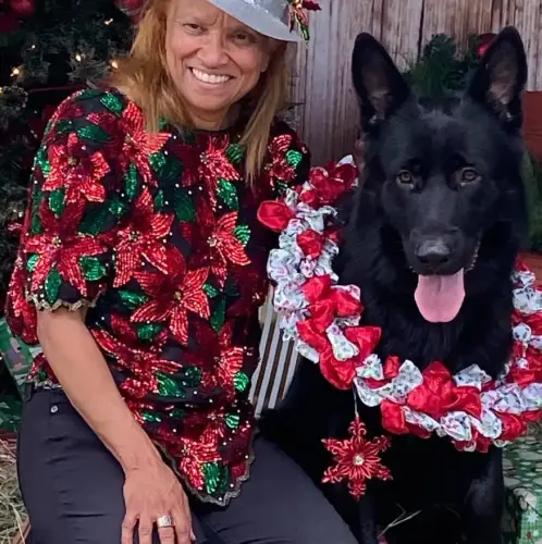 DDS Christmas black