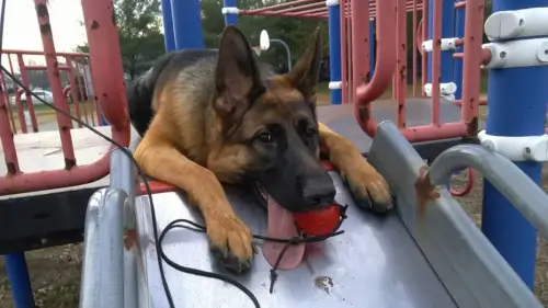 DDS Gretchen playground