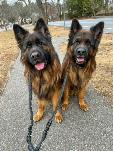 DDS Long stock coats from Chaos x Shogen