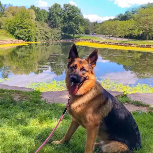 DDS McDadePark Lake
