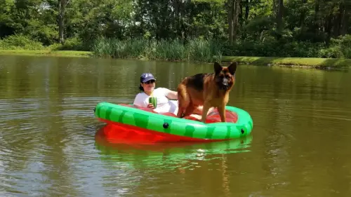 DDS - Rocky rafting