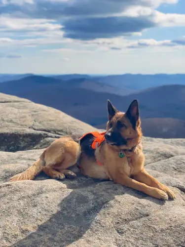 DDS - Xera hiker