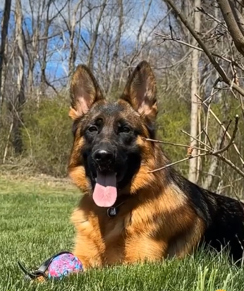 Kie