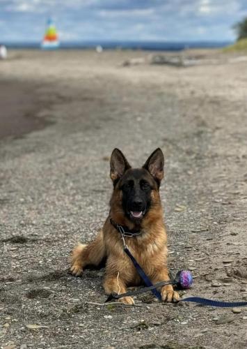 Kie