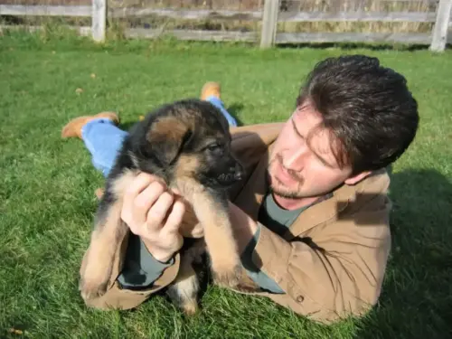 PUPPIES - Jeff n Ella