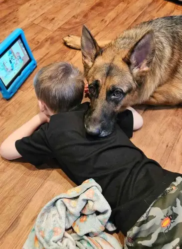 Puppies Alexander's boy loves his kid