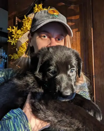 Puppies Green boy almost 6 wks
