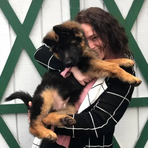 Puppies- Rhea Hayes