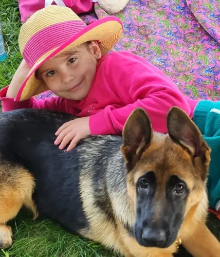 Puppies - easter bonnet