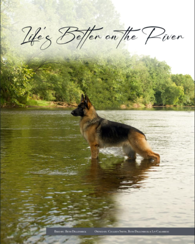 Steele River