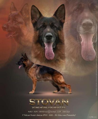 Stovan poster