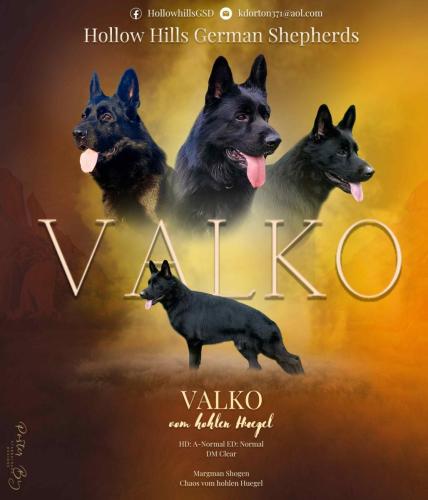 Valko