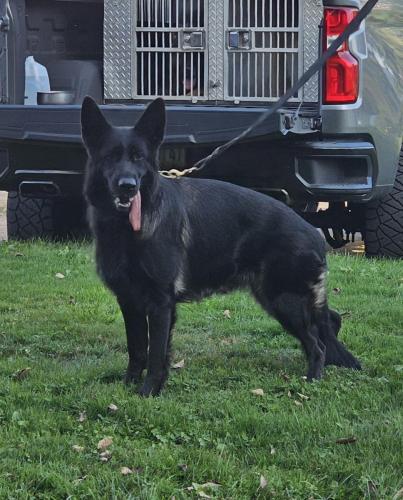 Yin aka Dakota