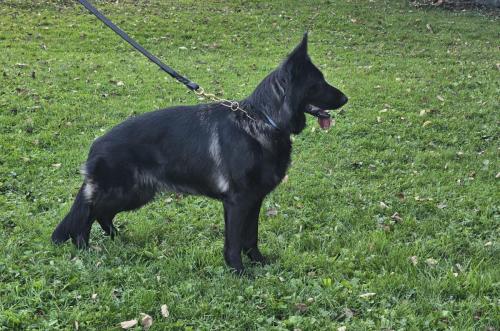 Yin aka Dakota