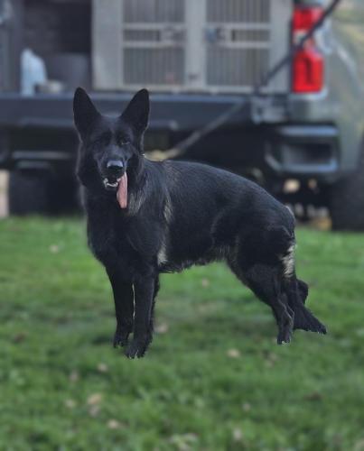 Yin aka Dakota