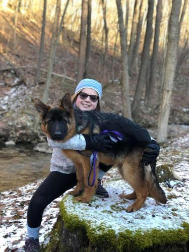stovan pup in winter w Bel